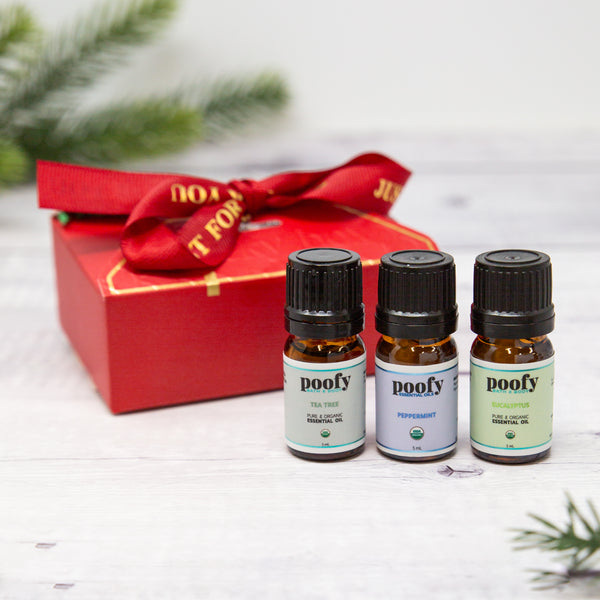 Poofy Diffuser & Essential Oil Gift Set